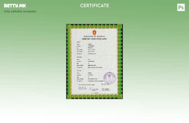 модерен стил Норвешка шаблон за ПСД извод од матична книга на родени